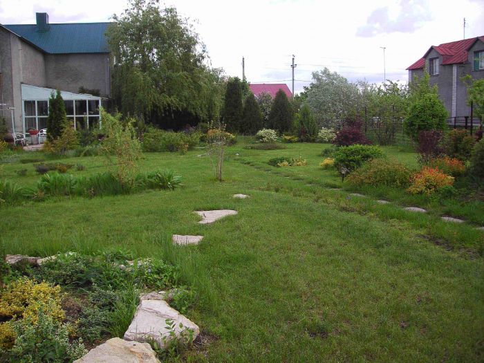 Декоративно-лиственные и хвойные растения